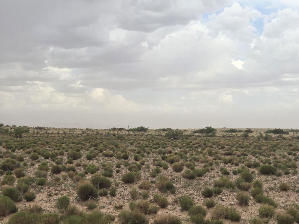Picture 8