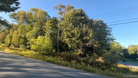Land, Liberty, NY