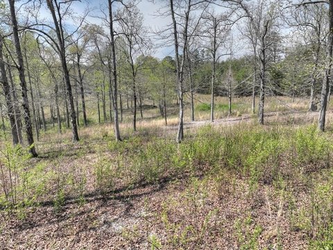 Mineral Bluff, GA