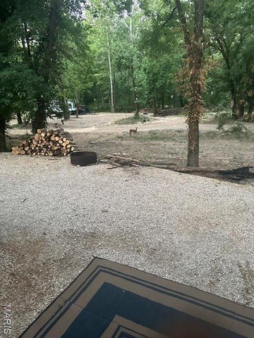 Picture 4