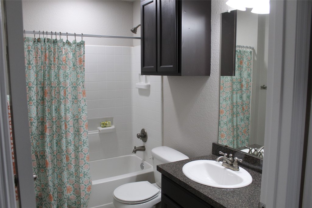 Picture 7