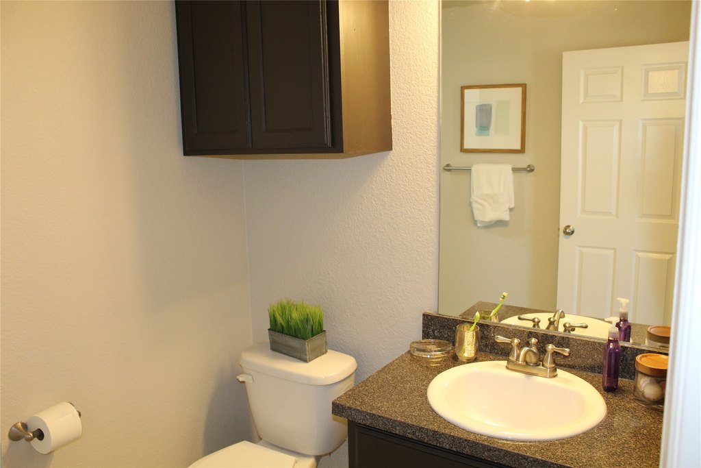Picture 5