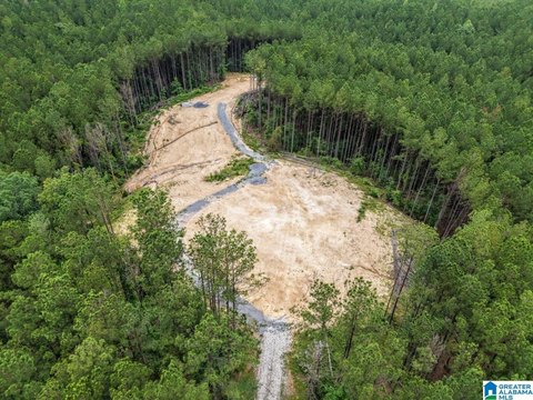 Cleared 16-Acre Homesite Near Lake