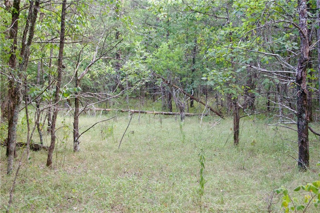 Picture 51