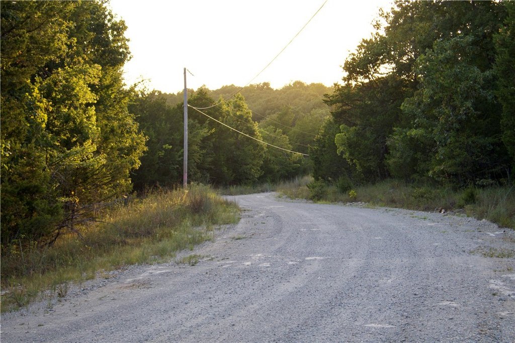 Picture 56