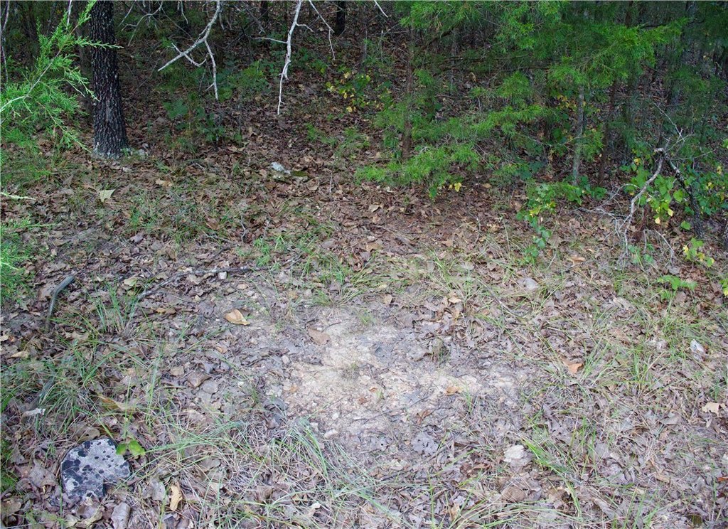 Picture 41
