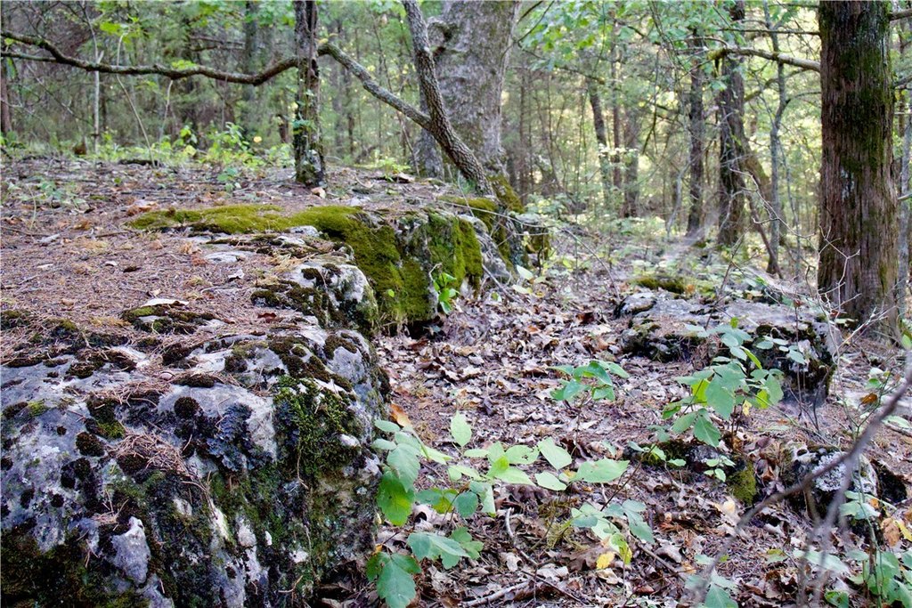 Picture 29