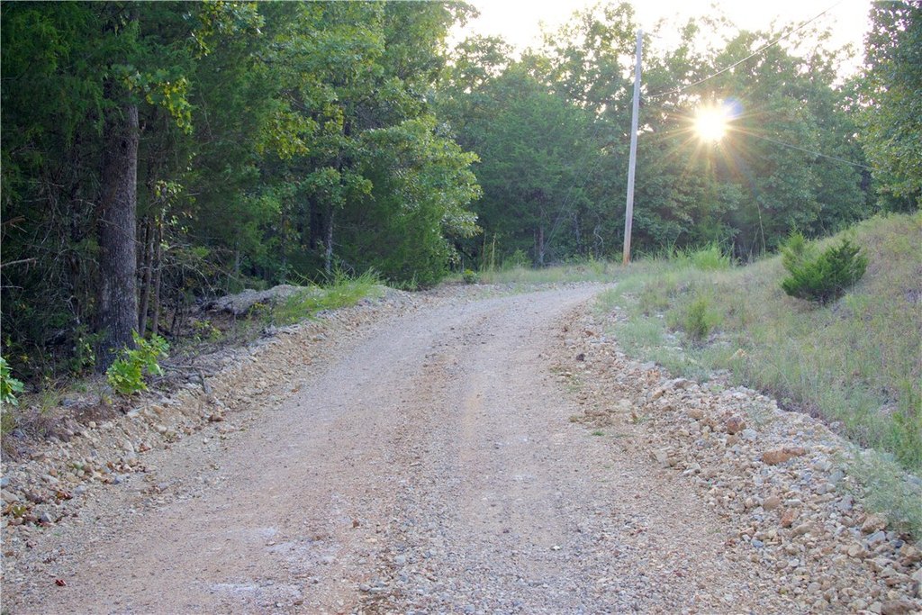 Picture 42