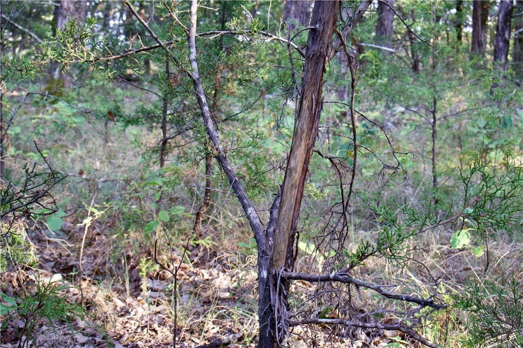 Picture 28