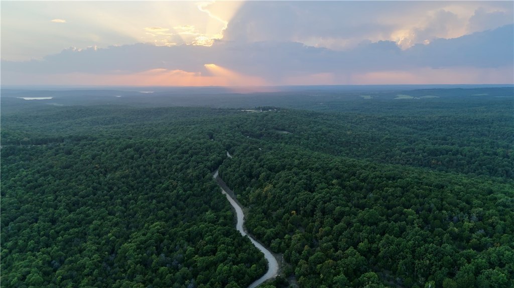 Picture 7