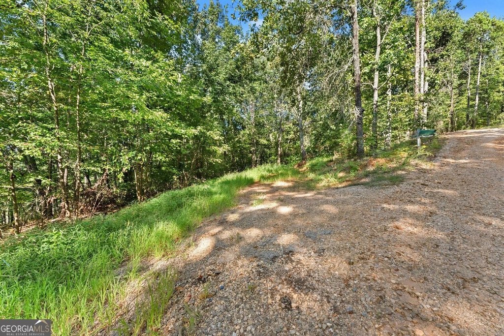 Picture 8