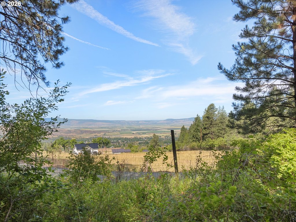 Picture 29