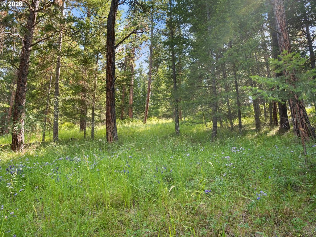 Picture 31