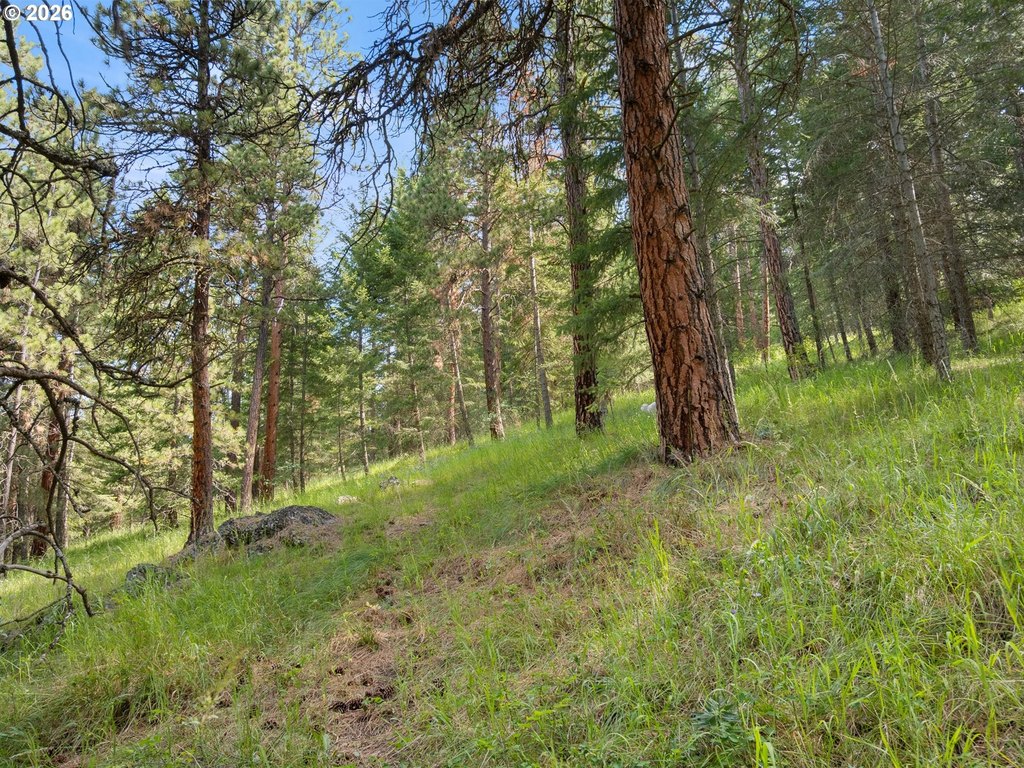 Picture 30