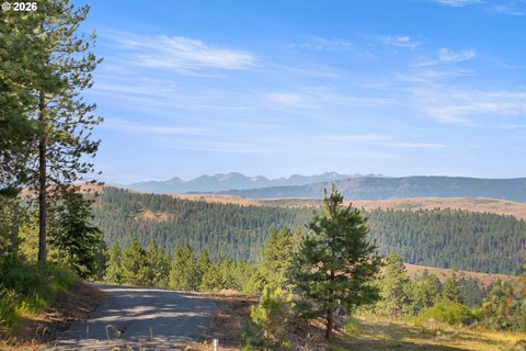 Land, Cove, OR
