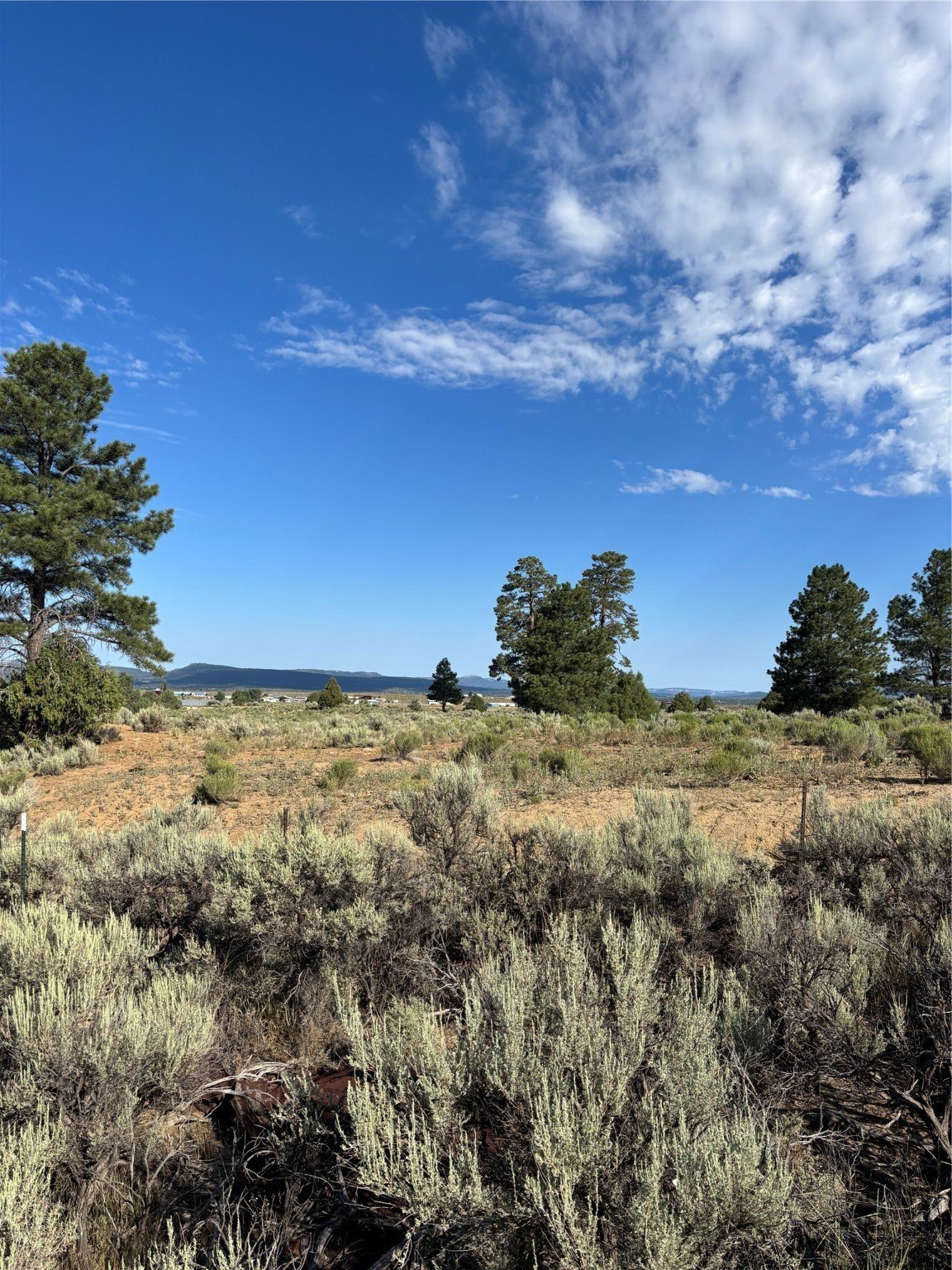 Vacant Land in Tierra Amarilla