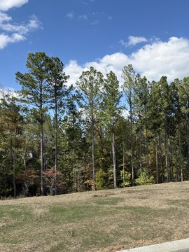 Residential Land in Creekwood Subdivision