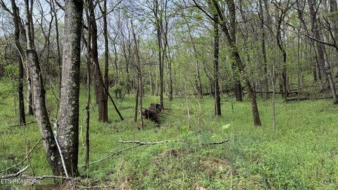 5.7 Acres Near the River