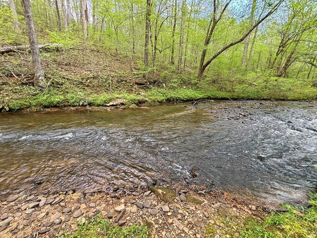 Picture 37
