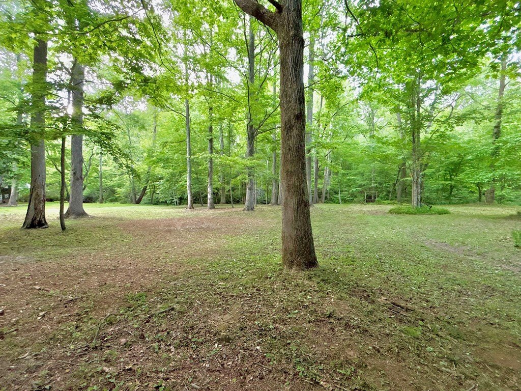 Picture 23