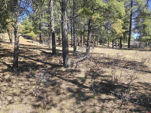 Land in Pagosa Springs, CO