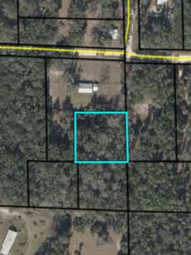 Land Near Suwannee River