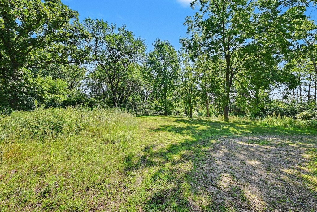 Picture 23