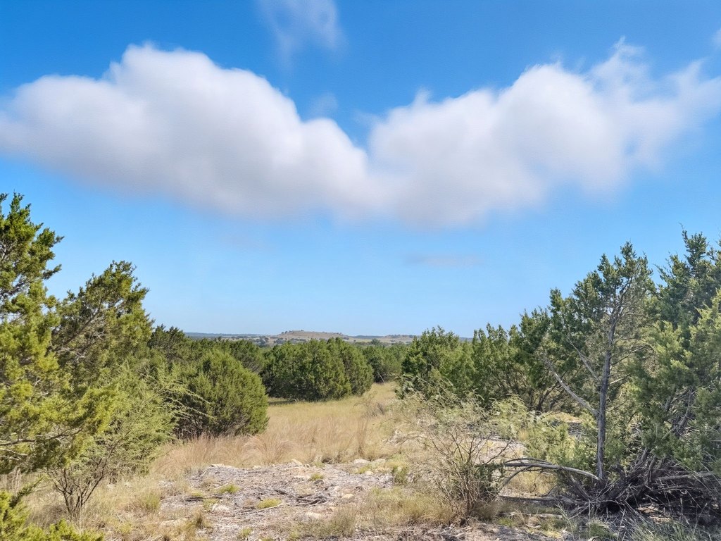 Picture 10