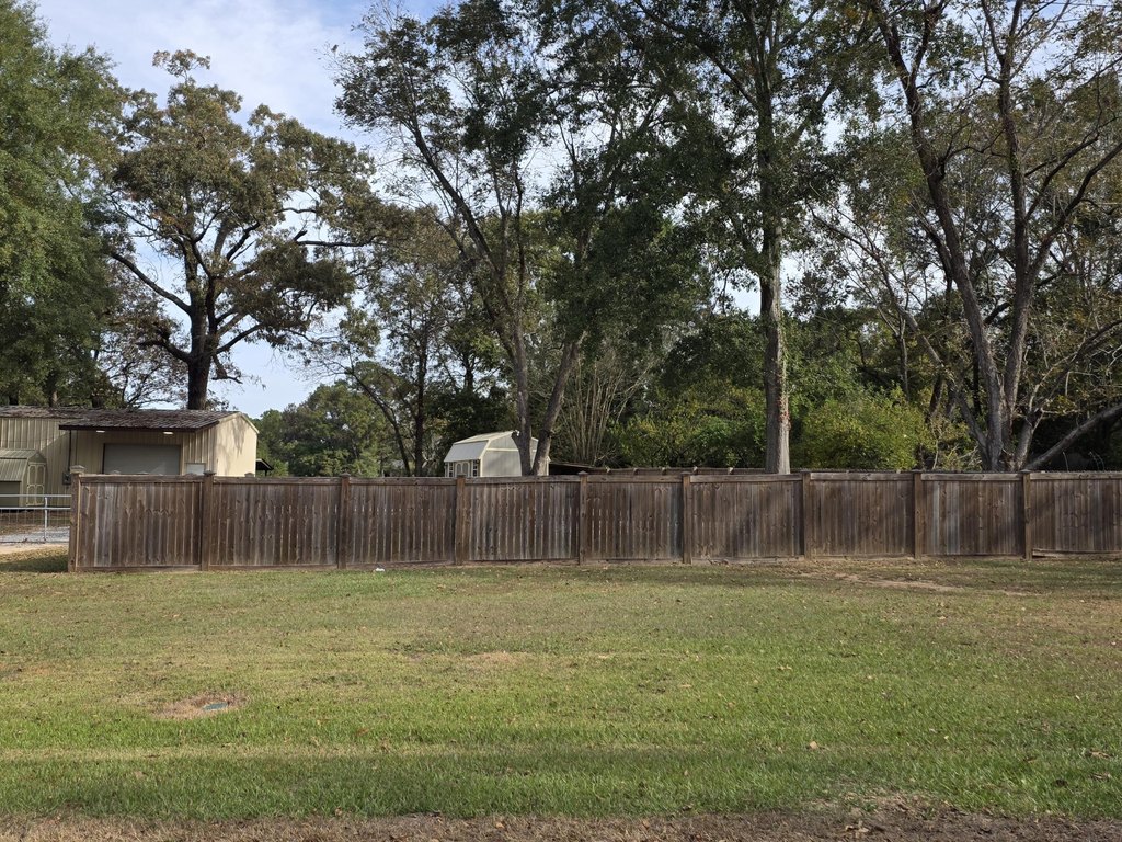 Picture 24