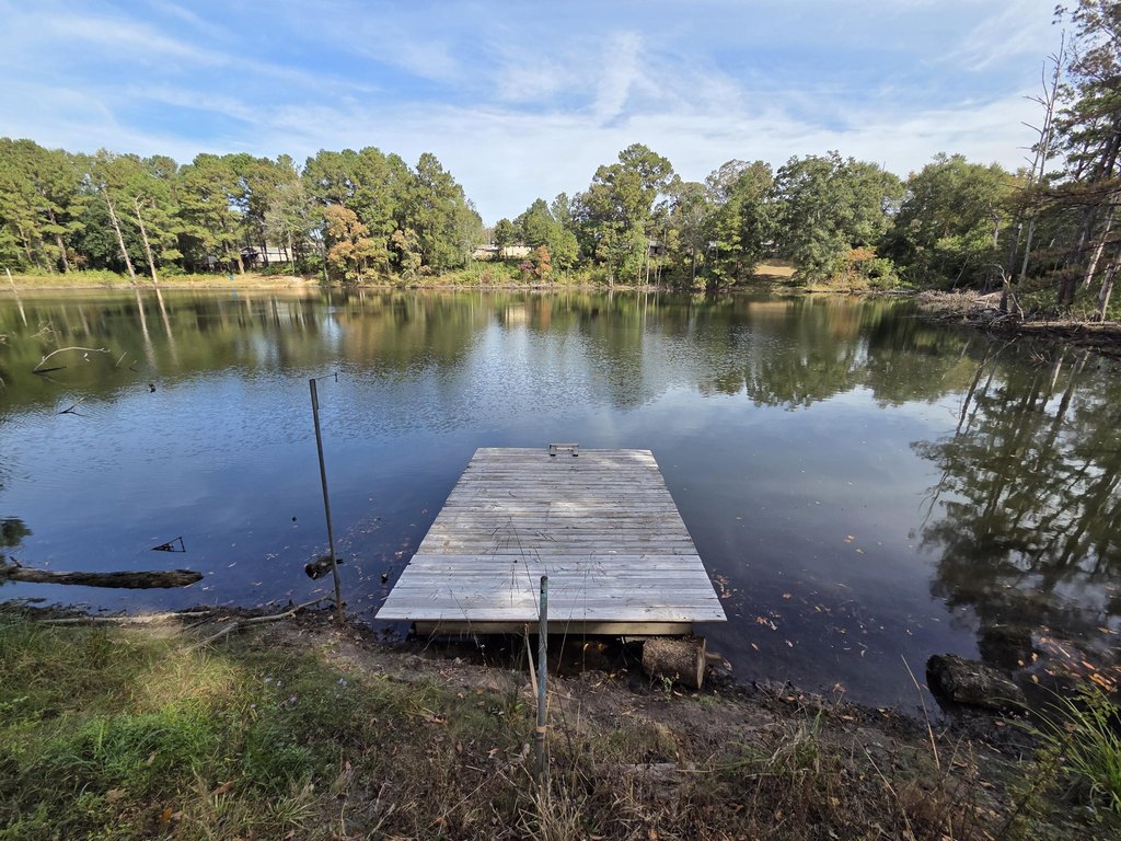 Picture 38
