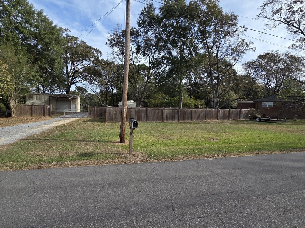 Picture 23