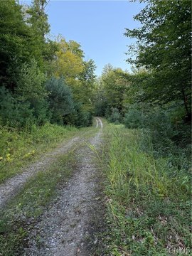 Wooded Black River Waterfront Land