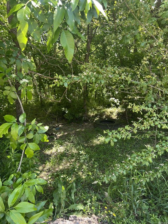 Picture 2