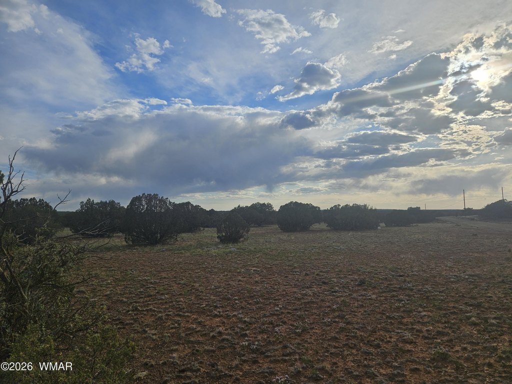 Picture 21