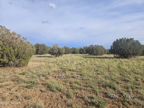 Land, Show Low, AZ