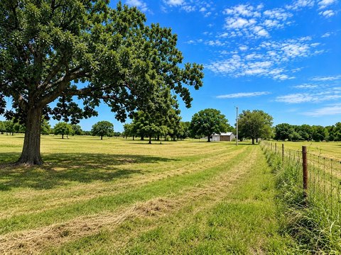 Agricultural Land with Shop
