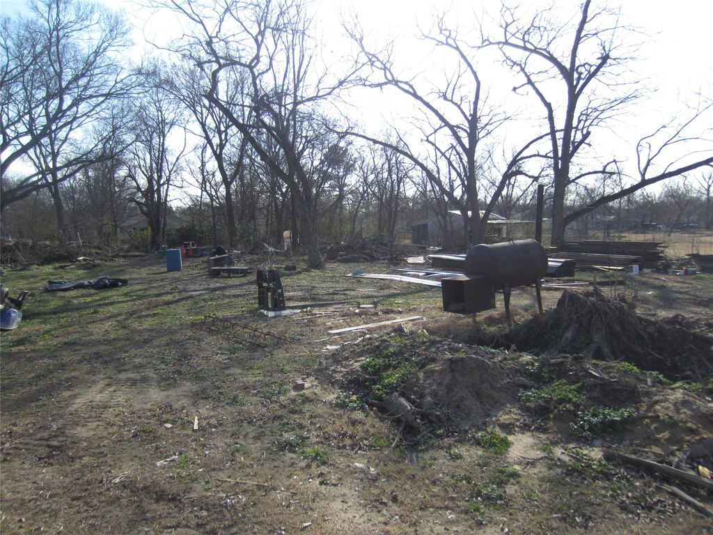 Picture 6