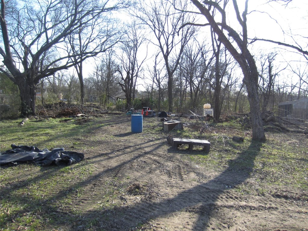Picture 8