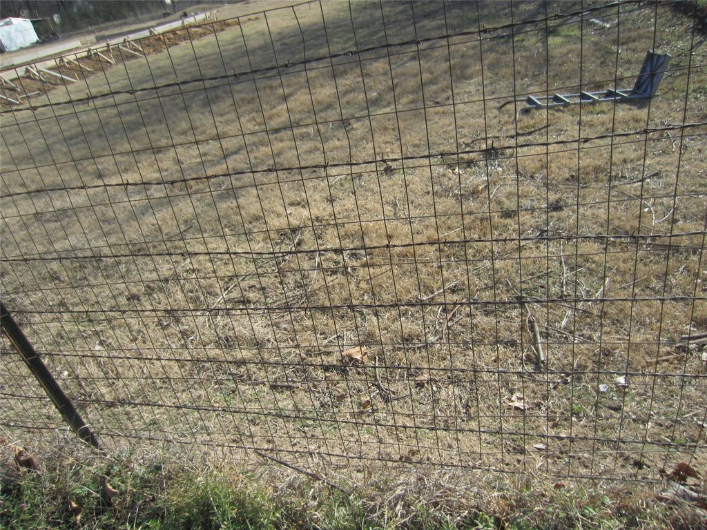 Picture 3