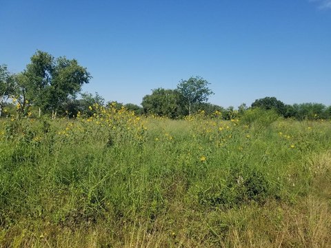 Beeville, TX Land For Sale