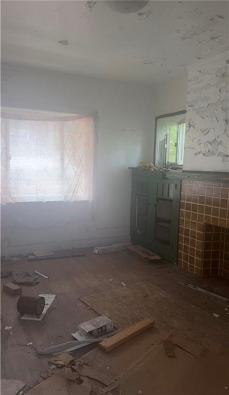 Picture 23