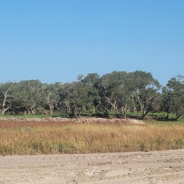 Oversized Lot in Rockport, TX
