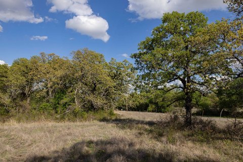 Open Farmland Tract