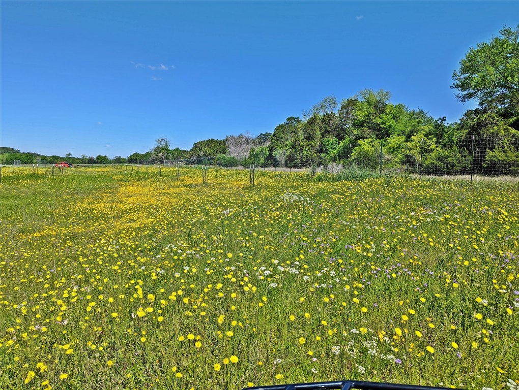 Picture 14