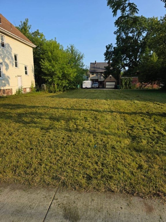 Picture 4