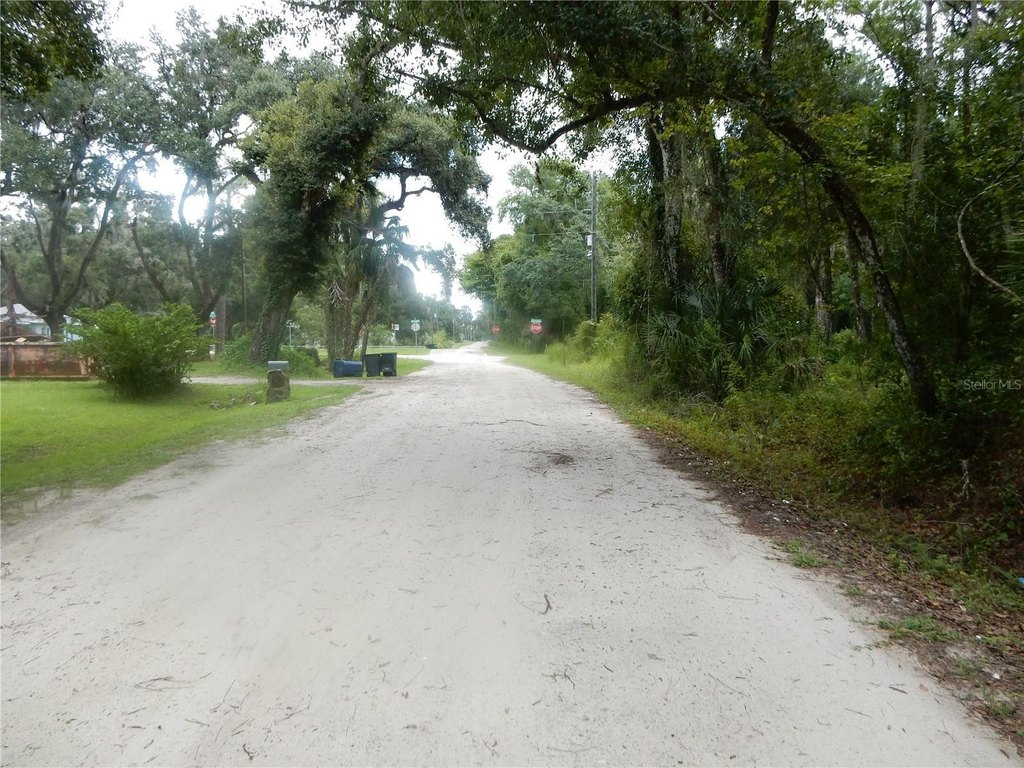 Picture 5