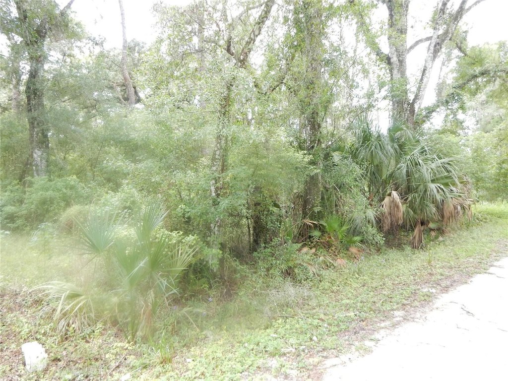 Picture 3