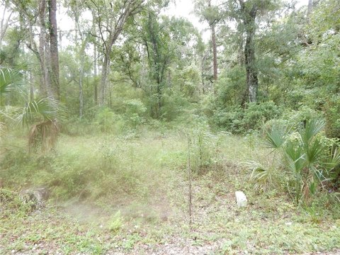 Land, ZEPHYRHILLS, FL