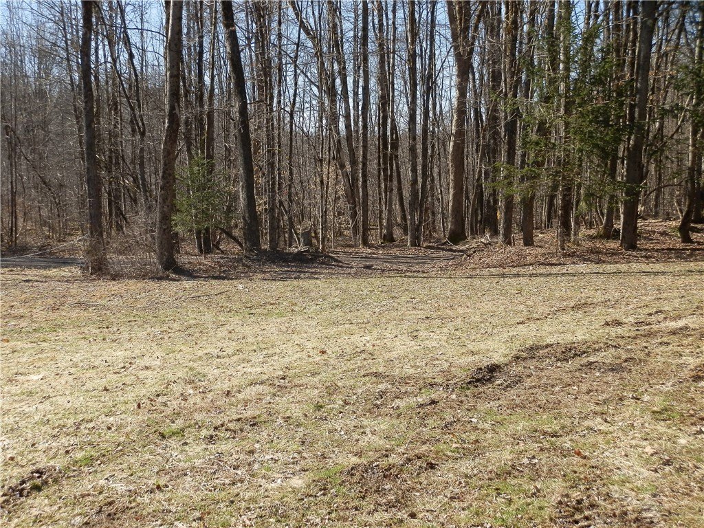 Picture 7