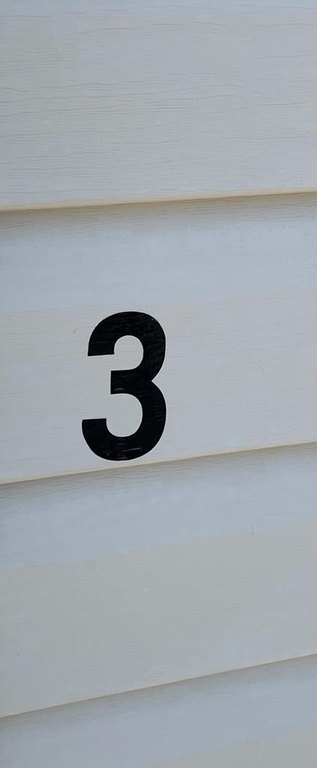 Picture 47